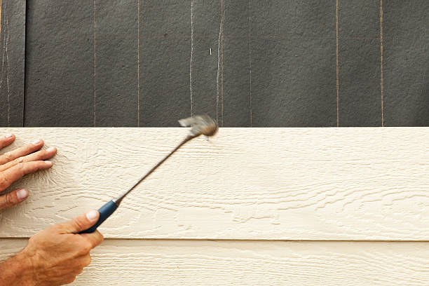 Best Stucco Siding  in Ellettsville, IN